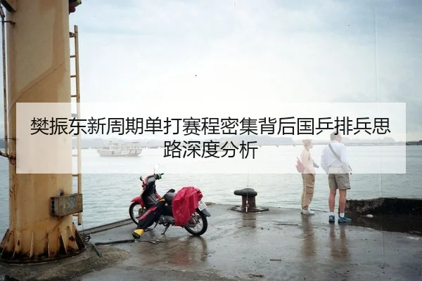 樊振东新周期单打赛程密集背后国乒排兵思路深度分析