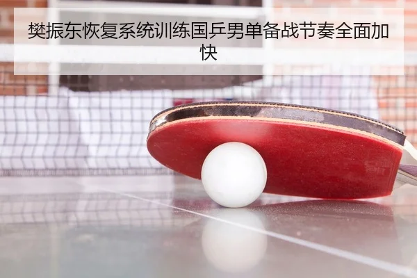 樊振东恢复系统训练国乒男单备战节奏全面加快