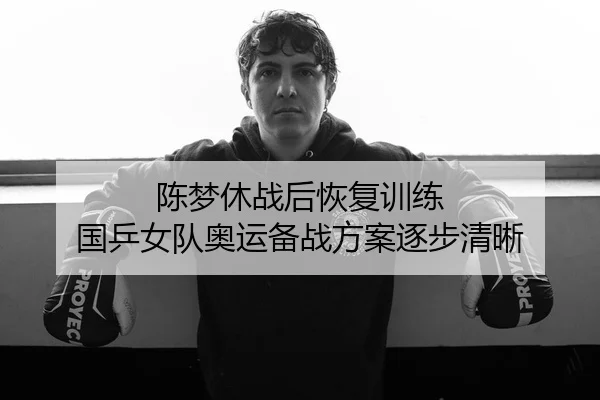 陈梦休战后恢复训练 国乒女队奥运备战方案逐步清晰