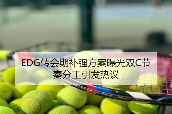 EDG转会期补强方案曝光双C节奏分工引发热议