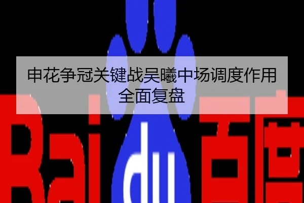 申花争冠关键战吴曦中场调度作用全面复盘