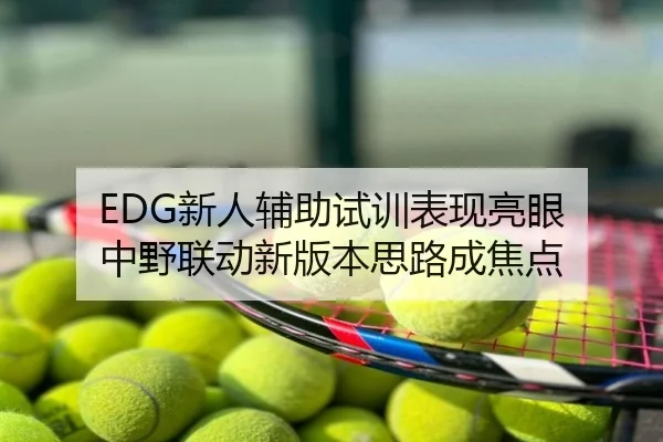 EDG新人辅助试训表现亮眼 中野联动新版本思路成焦点